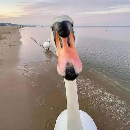 Les Maisons De La Mer, A Pieds Piriac-sur-Mer