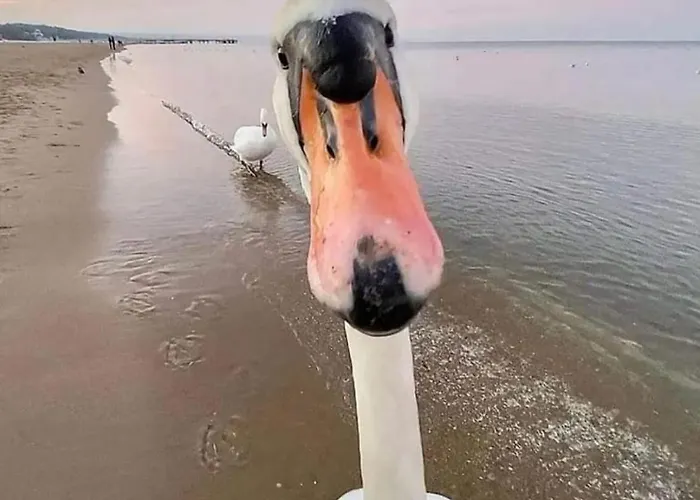 Les Maisons De La Mer, A Pieds 피리악-쉬르-메르